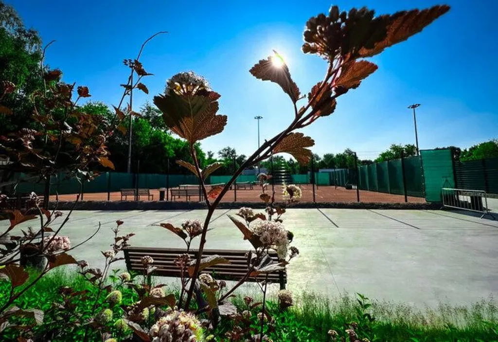 Теннисный клуб ZASPORT